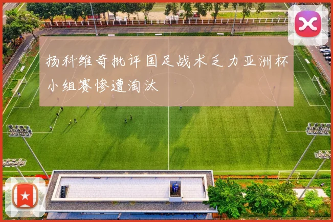 扬科维奇批评国足战术乏力亚洲杯小组赛惨遭淘汰