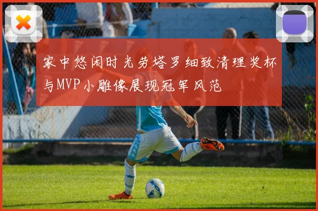家中悠闲时光劳塔罗细致清理奖杯与MVP小雕像展现冠军风范