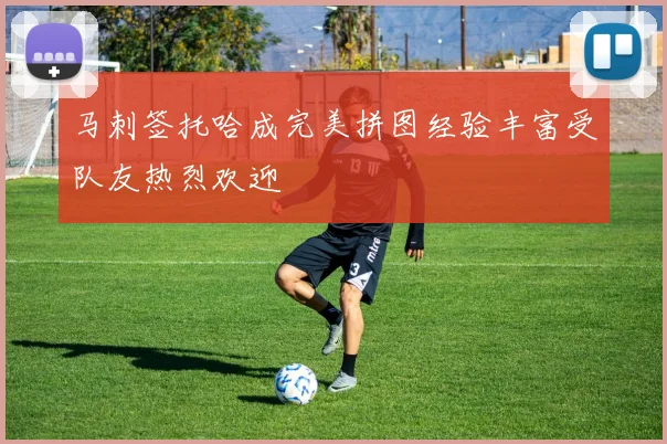 马刺签托哈成完美拼图经验丰富受队友热烈欢迎